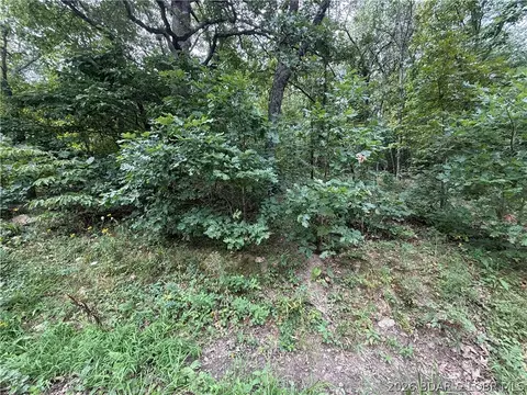 tbd Paulson Dr, Edwards, MO 65326 photo 15