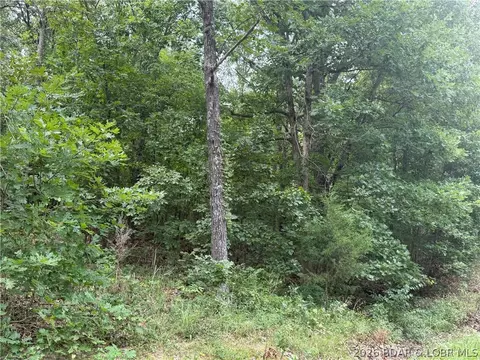 tbd Paulson Dr, Edwards, MO 65326 photo 20