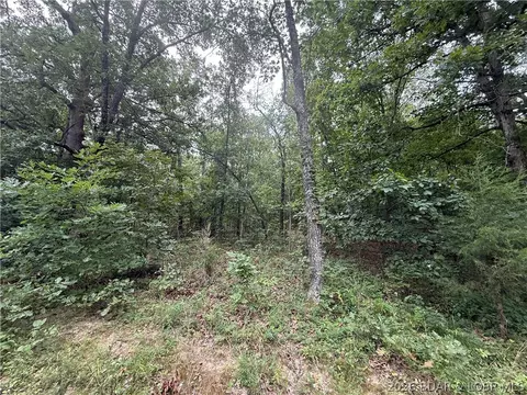 tbd Paulson Dr, Edwards, MO 65326 photo 17
