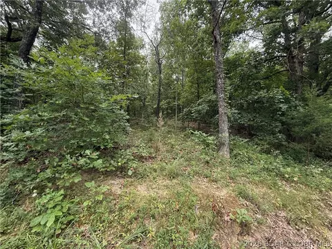 tbd Paulson Dr, Edwards, MO 65326 photo 3