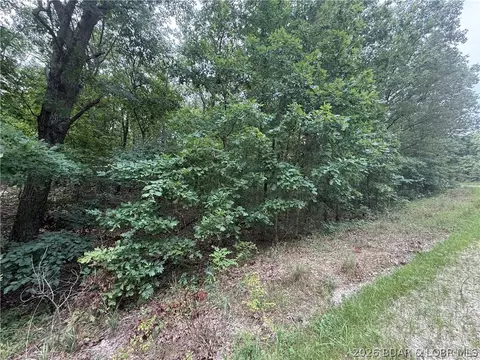tbd Paulson Dr, Edwards, MO 65326 photo 19