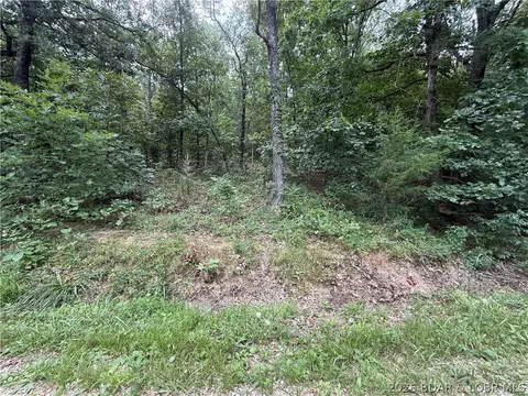tbd Paulson Dr, Edwards, MO 65326 photo 21