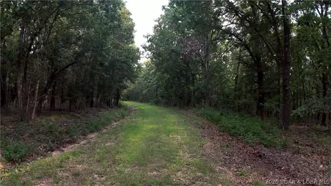 Other - 31456 Greenberg Dr, Edwards, MO 65326 photo 32 of 39