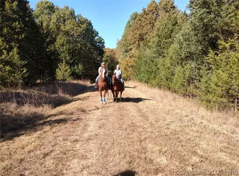 Other - 31456 Greenberg Dr, Edwards, MO 65326 photo 37 of 39