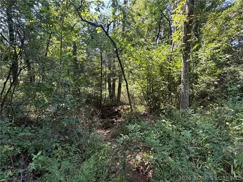 41 Acres Inlet Rd, Versailles, MO 65084 photo 2
