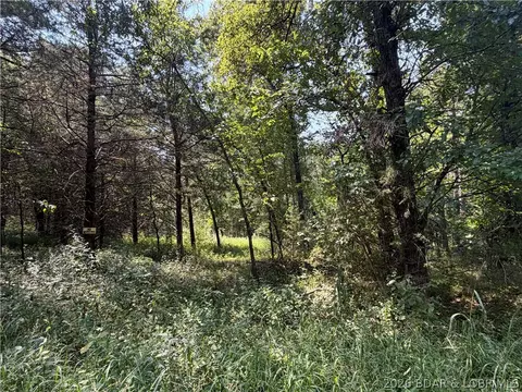 41 Acres Inlet Rd, Versailles, MO 65084 photo 3