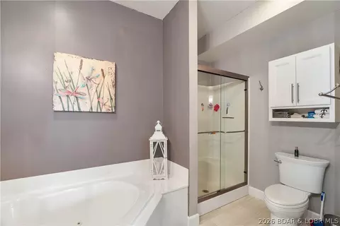Bath - 100 Trinity Pointe Dr #3S, Camdenton, MO 65020 photo 3 of 4
