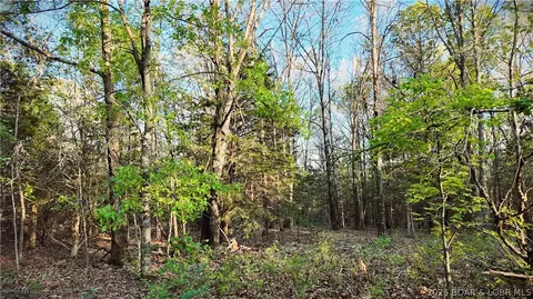 Other - 000 Brainerd, Crocker, MO 65452 photo 24 of 39