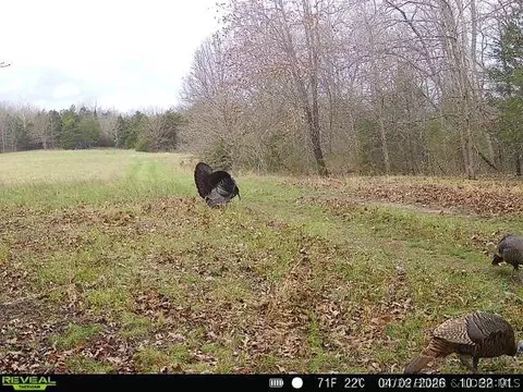 Other - 000 Brainerd, Crocker, MO 65452 photo 30 of 39