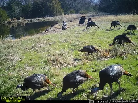 Other - 000 Brainerd, Crocker, MO 65452 photo 32 of 39