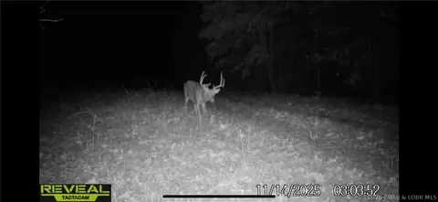 Other - 000 Brainerd, Crocker, MO 65452 photo 33 of 39