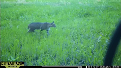 Other - 000 Brainerd, Crocker, MO 65452 photo 36 of 39