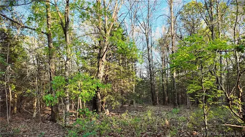 Other - 000 Brainerd, Crocker, MO 65452 photo 23 of 38