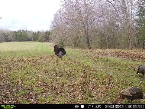 Other - 000 Brainerd, Crocker, MO 65452 photo 29 of 38