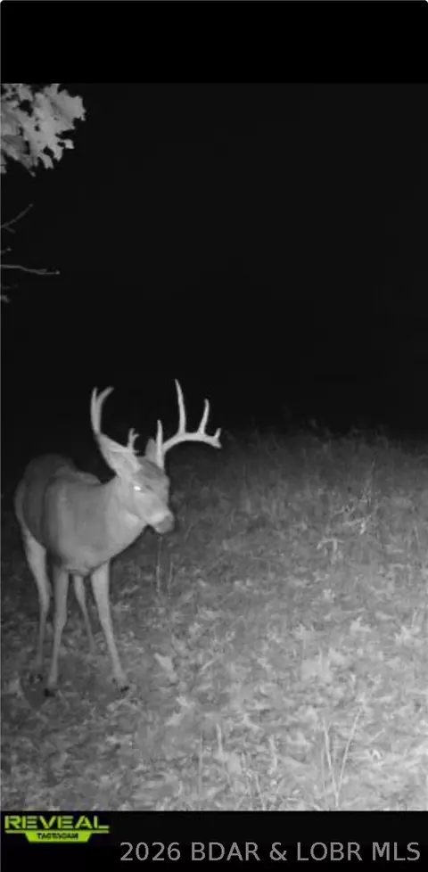 Other - 000 Brainerd, Crocker, MO 65452 photo 38 of 39