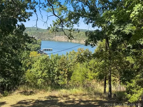 View/Area - 399 Serpantine Rd, Camdenton, MO 65020 photo 3 of 5
