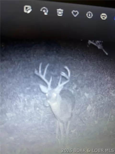 Other - tbd State Hwy Aa State Hwy Aa, Roach, MO 65787 photo 9 of 23