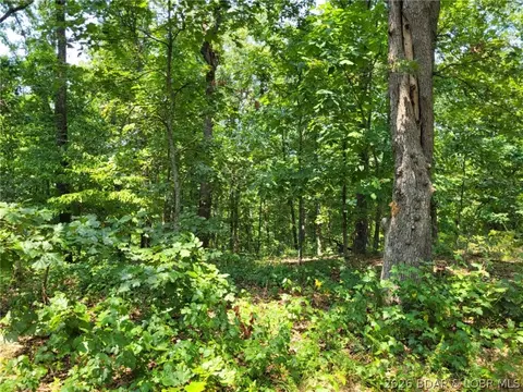 lee drive, Edwards, MO 65326 photo 12