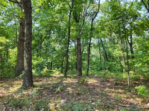 lee drive, Edwards, MO 65326 photo 10