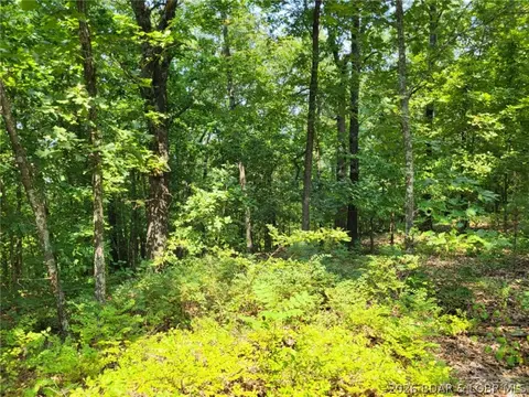 lee drive, Edwards, MO 65326 photo 7
