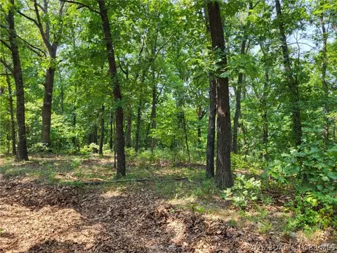lee drive, Edwards, MO 65326 photo 5