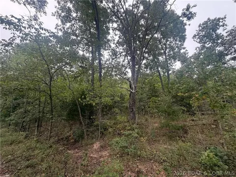 Other - 19388 Hwy 5 Hwy, Versailles, MO 65084 photo 23 of 25