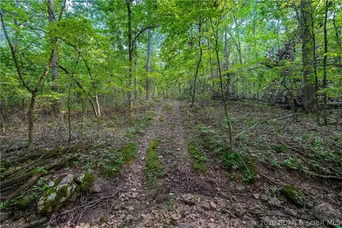 Other - 4864 Whispering Timbers Rd, Stover, MO 65078 photo 26 of 38