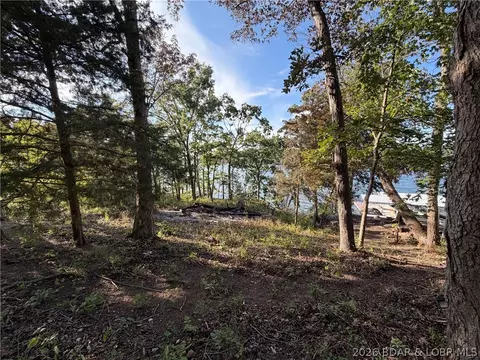 28924 W Gibson Point Rd, Gravois Mills, MO 65037