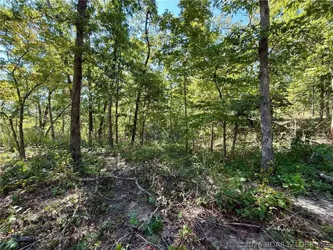 4 6 Acres Possum Trot Rd, Stover, MO 65078 photo 2