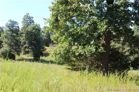 lot Cl21 Magnolia Rd, Gravois Mills, MO 65037
