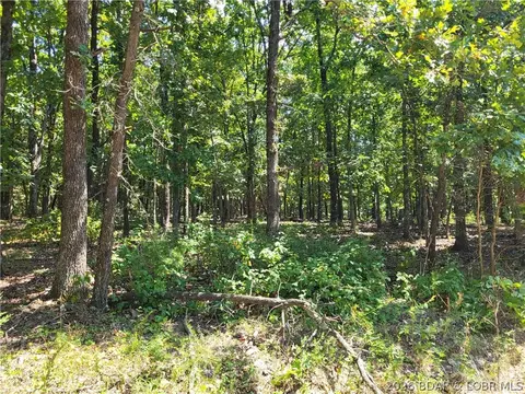 trinchera road, Edwards, MO 65326 photo 8