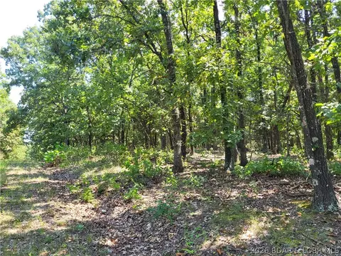 trinchera road, Edwards, MO 65326 photo 10