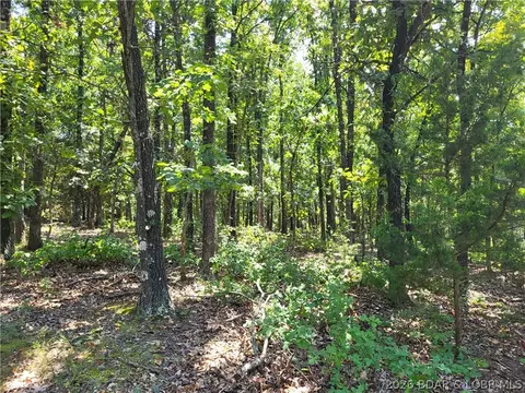 trinchera road, Edwards, MO 65326 photo 11