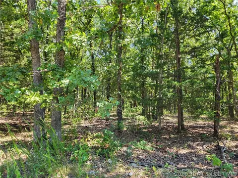 trinchera road, Edwards, MO 65326 photo 2
