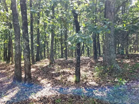 trinchera road, Edwards, MO 65326 photo 14