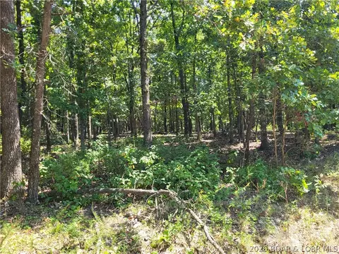 trinchera road, Edwards, MO 65326 photo 6