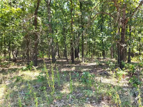 trinchera road, Edwards, MO 65326 photo 3