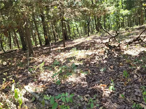 trinchera road, Edwards, MO 65326 photo 16