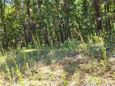 trinchera road, Edwards, MO 65326 photo 5