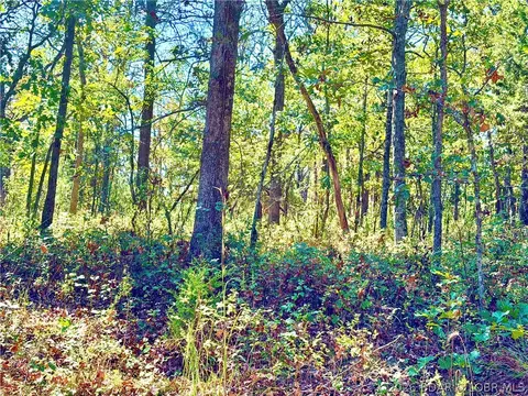 Off Saint Saveur Drive, Edwards, MO 65326 photo 3