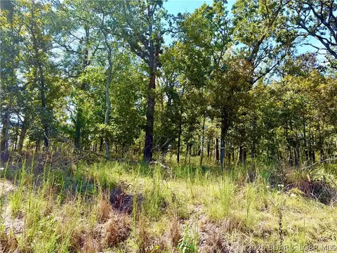 Off Saint Saveur Drive, Edwards, MO 65326 photo 4