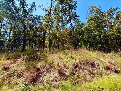 Off Saint Saveur Drive, Edwards, MO 65326 photo 6
