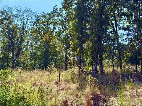 Off Saint Saveur Drive, Edwards, MO 65326 photo 5
