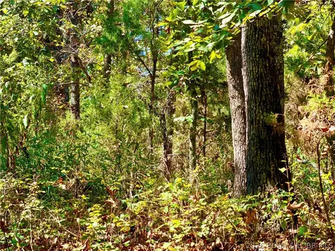 Off Saint Saveur Drive, Edwards, MO 65326 photo 2
