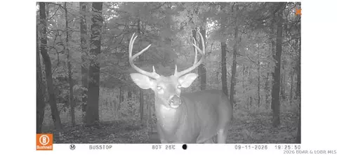 220 02 Ac J Hwy, Versailles, MO 65084 photo 2