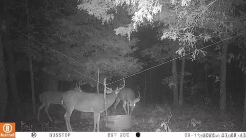 220 02 Ac J Hwy, Versailles, MO 65084 photo 8