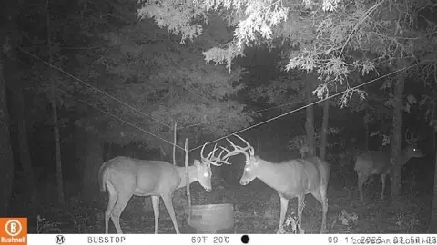220 02 Ac J Hwy, Versailles, MO 65084 photo 7