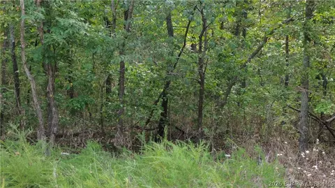 2 Acres Ozark Trail Rd, Lincoln, MO 65338 photo 6