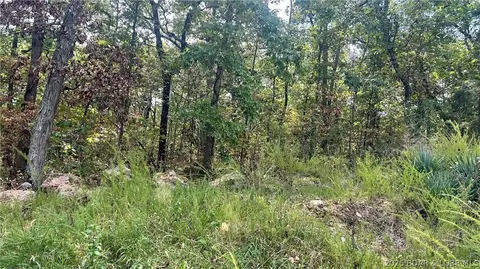 2 Acres Ozark Trail Rd, Lincoln, MO 65338 photo 2