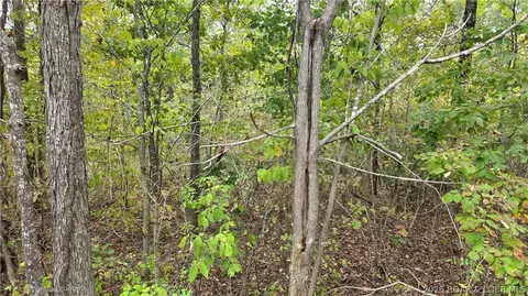 24990 Blue Waters Rd, Versailles, MO 65084